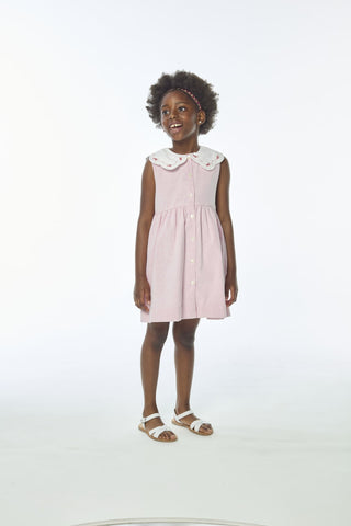 Embroidered Collar Dress in Pink