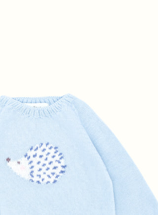 Hedgehog Jumper in Blue