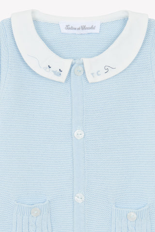 Embroidered Knit Babygrow in Blue