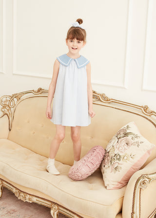Gingham Dress with Contrast Collar in Blue