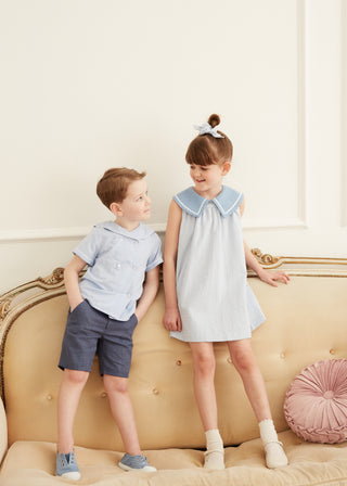 Gingham Dress with Contrast Collar in Blue