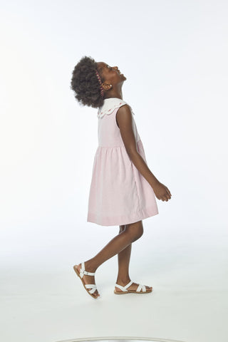Embroidered Collar Dress in Pink
