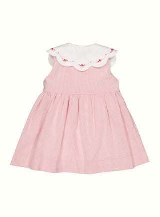 Embroidered Collar Dress in Pink
