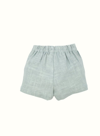 Linen Shorts in Green
