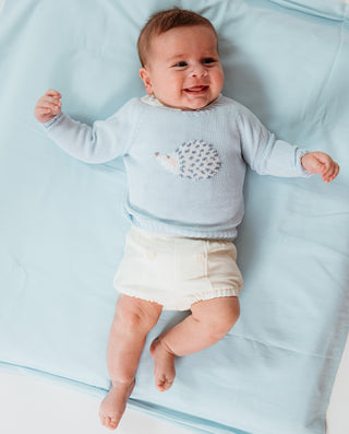Hedgehog Jumper in Blue
